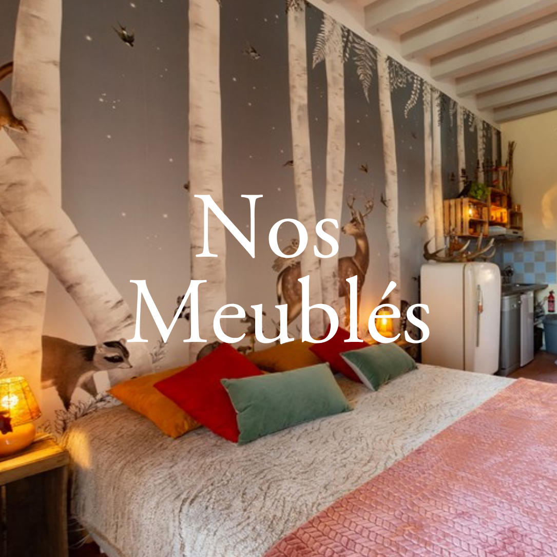 Meublés de tourisme de charme en Vallée du Loir